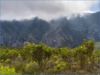 A landscape with mountains and bushes

Description automatically generated